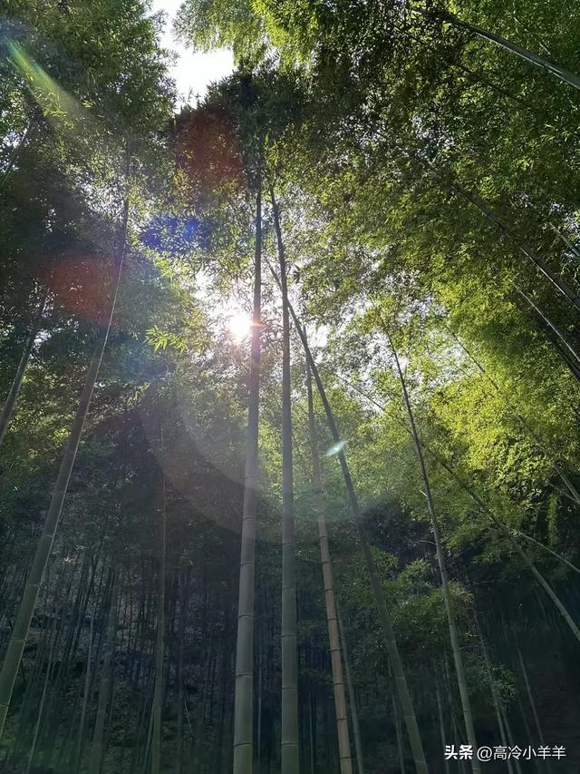 佛山如何修复出轨后的感情，佛山处理出轨感情？